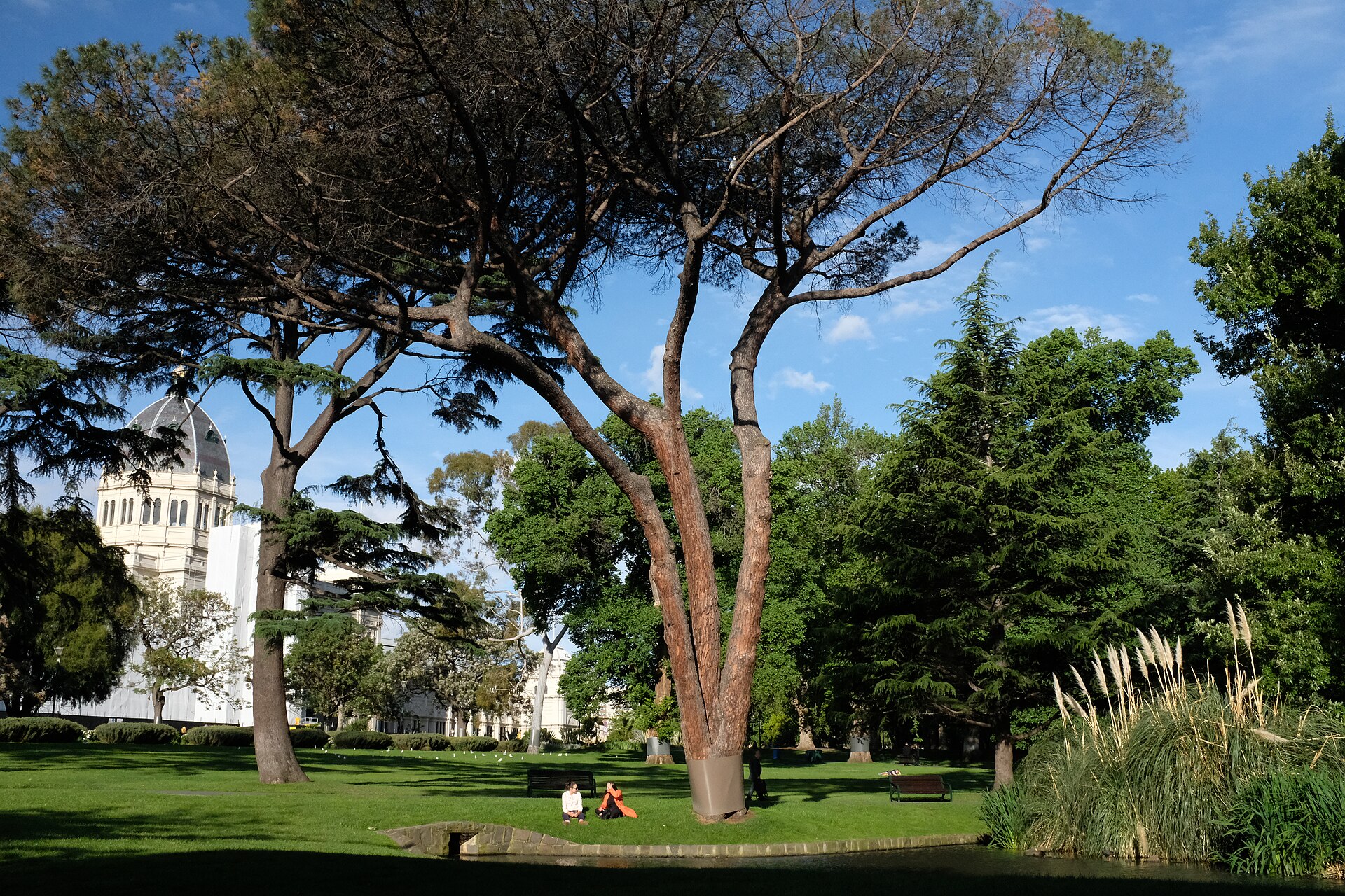 A park features tall trees, a pond and the Royal Exhibition Building, showcasing Melbourne's architecture.